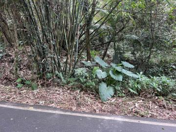 三芝石門土地Q139水源段優美農建地