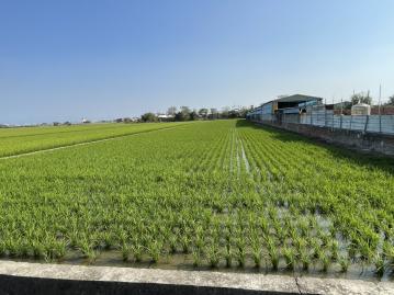 新港媽祖大道旁都計農地 嘉義買土地