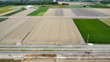水上12米路方正農地 嘉義買土地