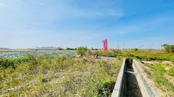 鹿草一分農保用地 嘉義買土地