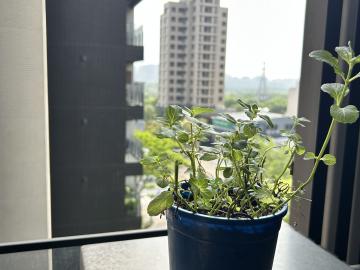 新竹土地出售 高鐵隘口商圈。大硯九＋1輕裝潢精品宅