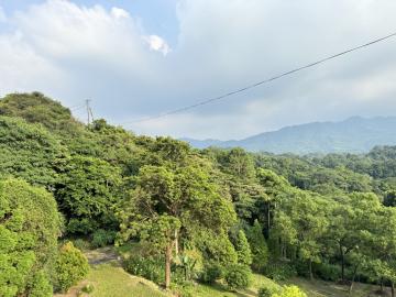新竹土地出售 在竹東買一片森林