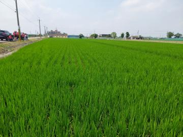 大義崙農地 西螺透天