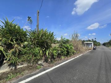 屏東農地買賣 竹田鳳明近88交流道美農地