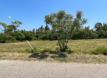 金湖鎮士校段農地~多塊可選