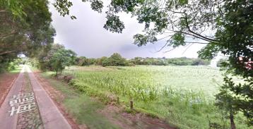 小金門南環道美地