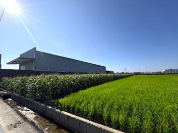 高雄農地 大寮磚子磘都計內可種植兼投資農地