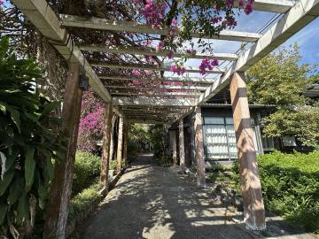 花蓮推薦房地 專售~花蓮吉安稀有平房庭園農舍