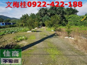 F039雷公埤農建地