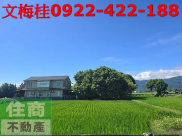 E063耕莘大面寬農地