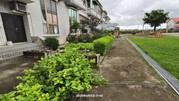 斗南藝術世家 雲林房農建地