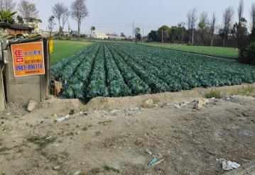 崙背都計內農地 雲林房農建地
