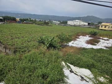 卓蘭省道台三線旁角地｜都市計劃內建地+農地 潭子透天別墅