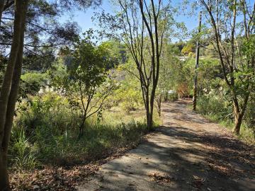 東勢獨家釋出｜景觀優美平坦休閒農地｜超低總價 潭子透天別墅