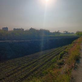 台南中西房仲 ❤️獨家~嘉義東石鄉1分農保農牧用地❤️