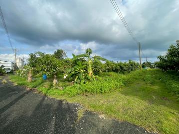 歸仁農地專家 近國3與84快速道路臨路5米面寬145米美農地
