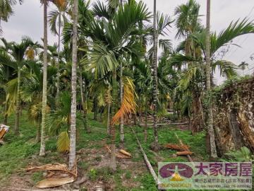 屏東房地專家 13牛排附近都農