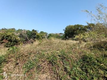 神岡近民生路旁都內農地豐原土地廠房