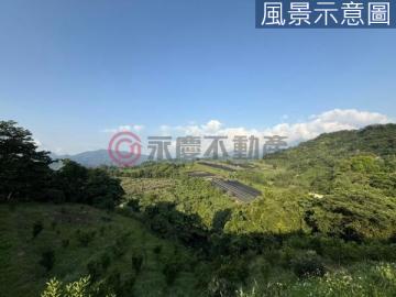 低於實東勢林場旁低總價2分山坡平地方正豐原土地廠房