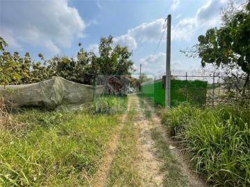 新化房屋土地 大內149龍貓車站旁都內農地