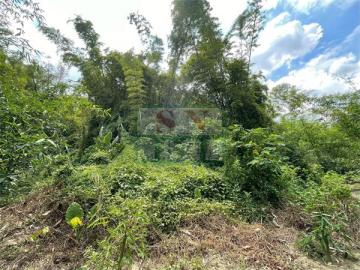 新化房屋土地 山豹4分農保地