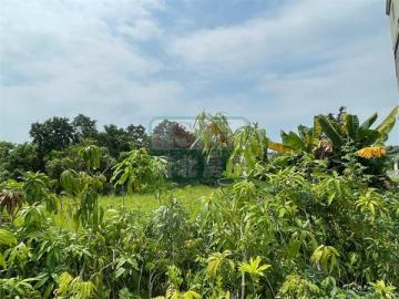 新化房屋土地 玉井中山路佰坪建地