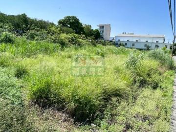 新化房屋土地 關廟保東路大面寬2.5分農地