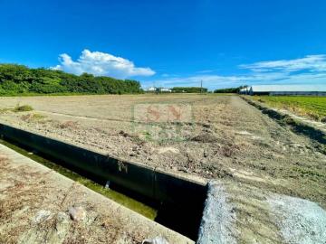 新化房屋土地 崙背2.9分臨路方正俗農地