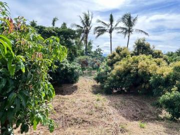 新化房屋土地 官田國小2.7分超便宜農地