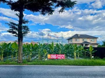 新化房屋土地 美濃大面寬方正農地