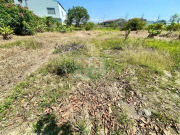 新化房屋土地 新化正20米路方正農地
