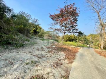 新化房屋土地 左鎮山豹2甲農地