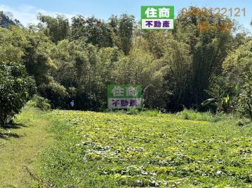 玉井378農保地 新化房屋土地 