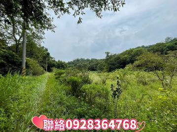 大坪數優質美農地 頭份大樓精選