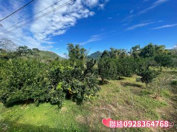 近市區優質美農地