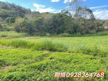 低總價水綠山青美農地