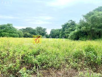 榜林村臨路農地 金門房屋土地
