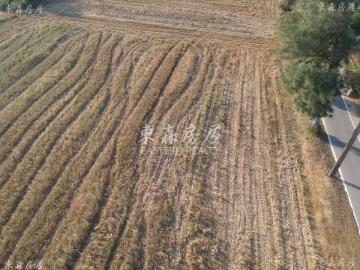 金寧鄉近北山海堤美農地 金門房屋土地