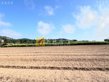 金沙近高陽路美農地-2 金門房屋土地