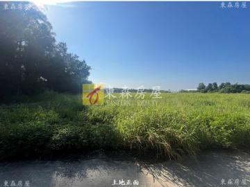 環島東路五段優質農地-1 金門房屋土地