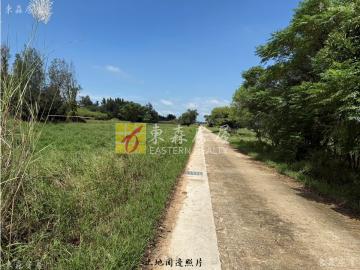 金寧安岐臨路美農地 金門房屋土地