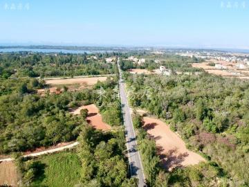 金寧鄉臨大馬路農地 金門房屋土地