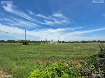 金門中心地段美地 金門房屋土地