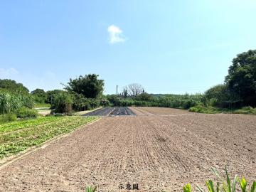 金城湖光山色優質建地 金門房屋土地
