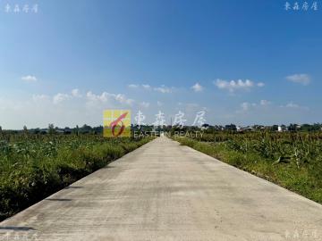 金沙鎮觀海美農地 金門房屋土地