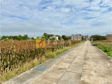 榮湖水庫附近優質美農地-1 金門房屋土地