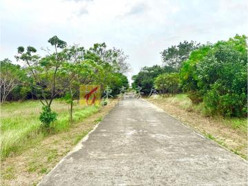 安美村附近優質農地 金門房屋土地