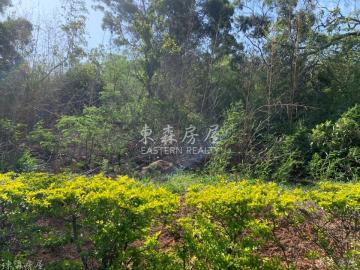 金寧鄉臨環島南路農地 金門房屋土地