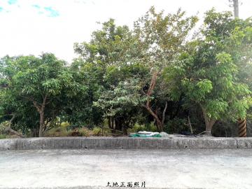 山后村莊生活發展用地 金門房屋土地