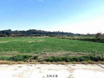 金湖鎮環島北路美農地 金門房屋土地